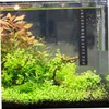 GLEAVI Aquarium Temperature Stickers 6 Pack 10℃ to 40℃ Range