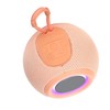 Wireless Bluetooth Speaker Portable Small Speaker Microphone FM Radio Desktop