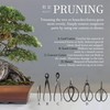 BambooMN Bonsai Kit 15pc Master Tool Set