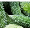 15 Bitter Melon Seeds: Heirloom Bitter Gourd, Easy to Plant