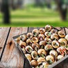 DOJA Barcelona | Iron can for Snails | Dimensions: 22x22