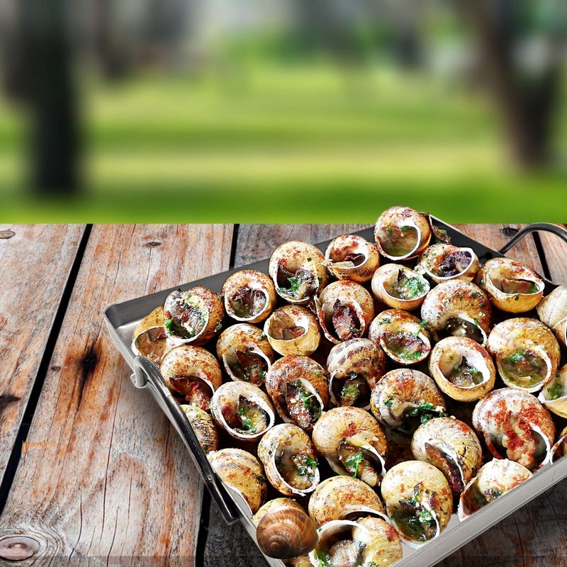 DOJA Barcelona | Iron can for Snails | Dimensions: 22x22
