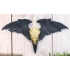 Ravenger Thanatos Raven Crow Skull With Black Angel Wings Wall