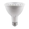 BAZZ BP3011EZ Par30 Led Bulb