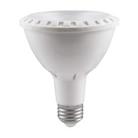 BAZZ BP3011EZ Par30 Led Bulb