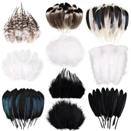 300 Pcs Small Feathers 10 Style Mixed Spotted Decorative Natual Pheasant Feather for DIY Crafts Clothing Jewelry Hair DecorationColor: Natural+Black+White