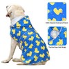 Dog Raincoat with Hood and Leash Hole, Adjustable Belly Strap,