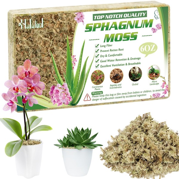 Halatool Halatool 6OZ Natural Sphagnum Moss for Plants 8 QT
