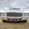 Pink Butterfly License Plate Decorative Metal Car Plate