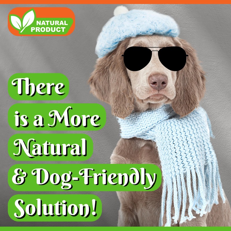 Pet MasterMind Fluffy Fido Professional Groomer's Choice for Dog Dandruff