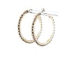 Arco Crystal Hoop Earrings - Gold