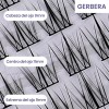 Pestañas Postizas Naturales Segmentación Extensiones Lashes