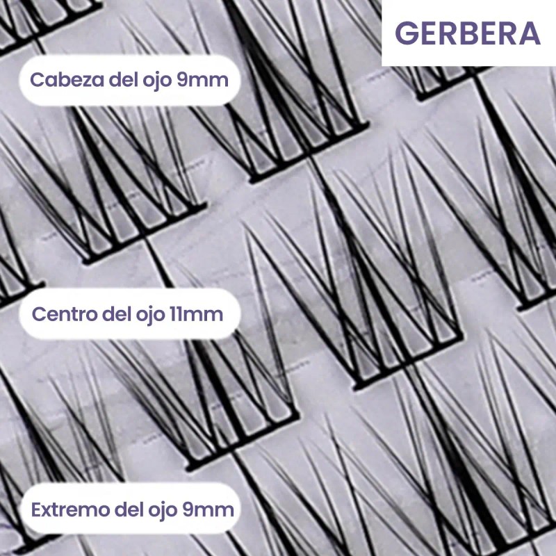 Pestañas Postizas Naturales Segmentación Extensiones Lashes