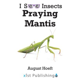 Praying Mantis