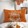 Fjfz Fall Hello Pumpkin Lumbar Decorative Throw Pillow Cover 12