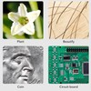 Wireless Digital Microscope WiFi Handheld Portable USB 1080P HD Mini