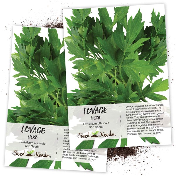 Seed Needs, Lovage Herb Seeds for Planting (Levisticum officinale) Twin Pack of 500 Seeds Each Non-GMO