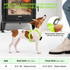 Visiklit Light Up Dog Harness for Small Dogs Rechargeable, LED Dog Vest Harness, Adjustable Illuminated Glow in Dark Dog Harness for Puppy Night Safety Walking 360° True Illumination-Green