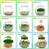 Dinosaur Miniature Terrarium Kit, Craft Kit, Kids, Elementary School Students,