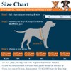 VIVAGLORY Ripstop Dog Life Jacket for Small Medium Large Dogs