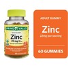 Spring Valley Zinc, zinc Gummies 22mg, Immune System Support, Zinc