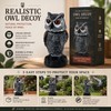 Owl Decoy for Bird Deterrent – Shake Head Garden Scarecrow