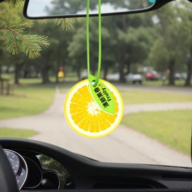 Elegant Car Air Freshener Spray for Women | Long-Lasting Natural Scent