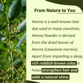 Henna powder by mi nature for Hair | Natural Hair dye | chemical free| Hair Color | Sourced from Rajasthan India |100g (3.5Oz)