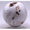 2.9" 430g White Scolecite w/Orange Stilbite Carved Druzy Sphere Polished