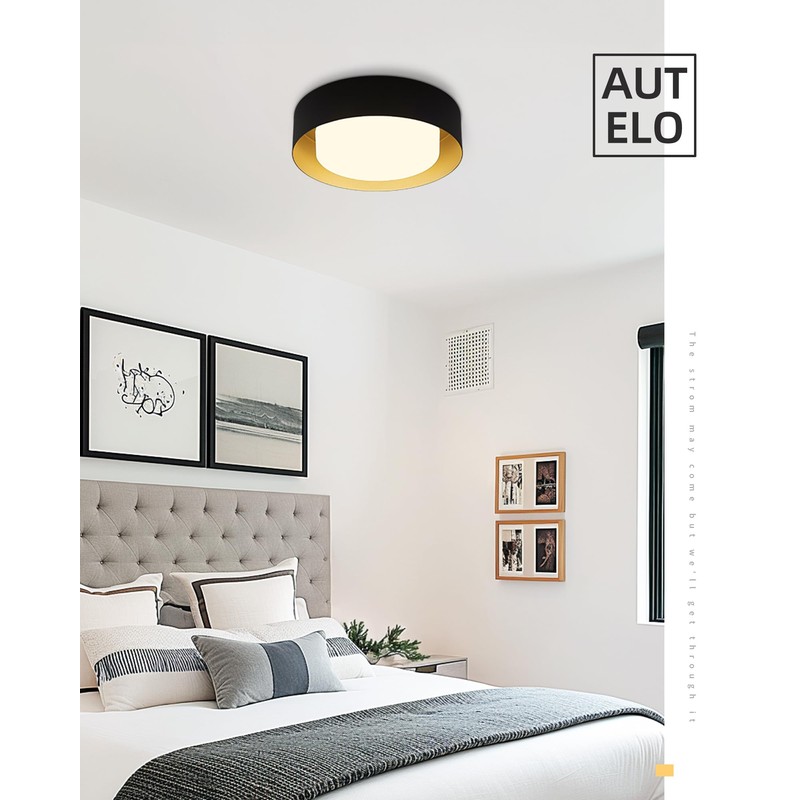 AUTELO Flush Mount Ceiling Light, 14" Frosted Glass Shade Close