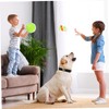 VICASKY Plastic Suction Cup Ball Pop and Catch Ball Game