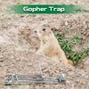 Qualirey 4 Pcs Gopher Trap with Chain Gopher Killer Vole
