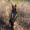 Tactical Dog Backpack Harness for Large Breed Original Design Metal