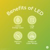 GE GE Relax LED Light Bulbs, 60 Watt, Soft White,