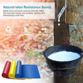 Límite-MX Bandas de Resistencia, Bandas De Resistencia para Ejercicio,Bandas Elásticas Fitness Vendas Acondicionamiento Físico para Ejercicio para Yoga, Pilates, Estiramientos, Musculacion (4 Pack)