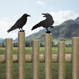 zhuohai Black Metal Raven Decor ，3PCS Outdoor Raven Yard Fence Decorations ，Metal Birds Craft Ornaments Garden Fence Topper Outdoor Yard Art