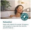 Kneipp Bath Oil, Relaxing Lavender, 0.67 fl. oz