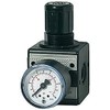 RIEGLER Multifix 100421-R 12-10 Pressure Regulator with Pressure Gauge, BG