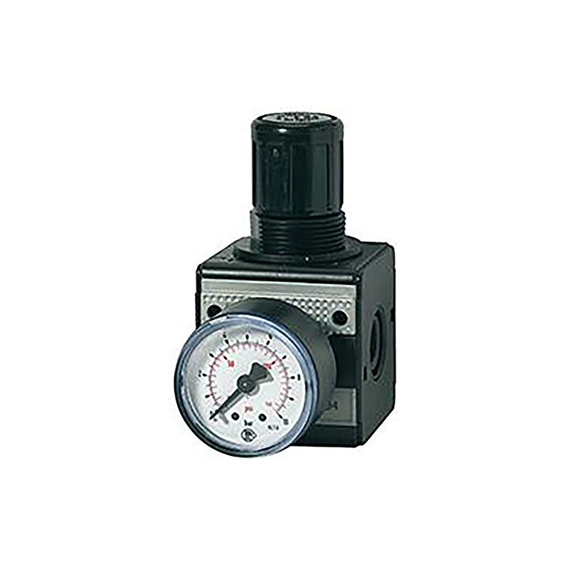 RIEGLER Multifix 100421-R 12-10 Pressure Regulator with Pressure Gauge, BG