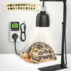 DIGITEN Temperature Controller Day/Night Temperature Control Outlet Reptile Thermostat Timer