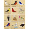 Bird Memory Tiles - Made in USA