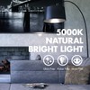 Tenergy LED Light Bulb, 9 Watts (60W Equivalent) A19 E26