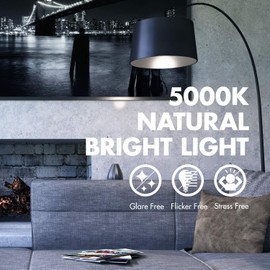 Tenergy LED Light Bulb, 9 Watts (60W Equivalent) A19 E26 Medium Standard Base, 5000K Daylight White Energy Saving Light Bulbs for Office/Home, 32 Pack