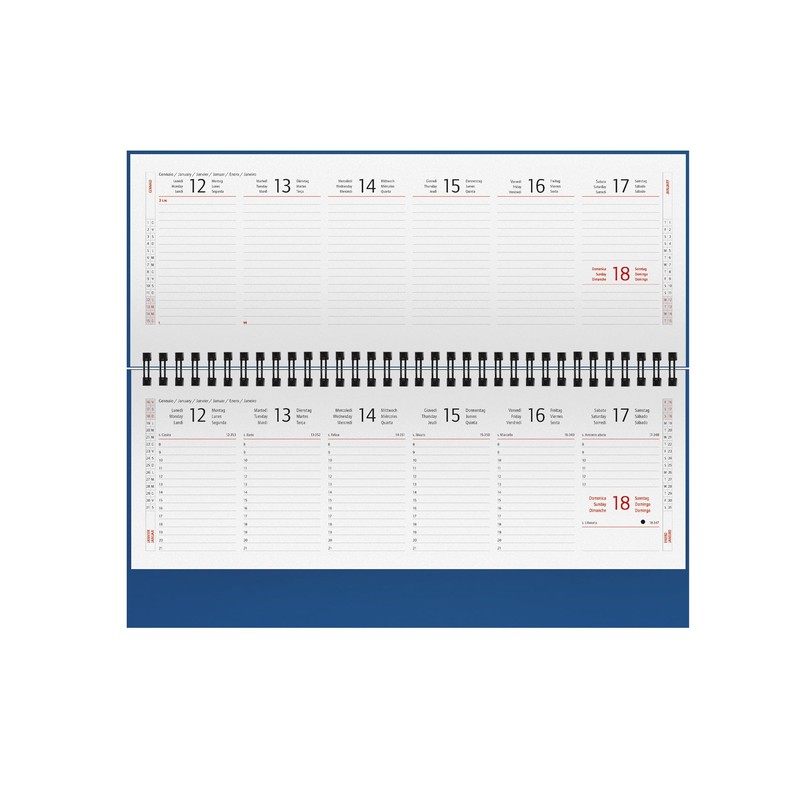 Diary 2021 Weekly Calendar Spiral Bound Organiser Organiser Planner Organiser
