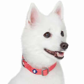 Blueberry Pet Essentials Reflective Better Basics Matching Dog Collar Leash Harness Set in Fiery Red, Adjustable Collar with Harness & 5 ft Leash for Medium Dogs