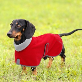 Dachshund Fleece Coats, Perfect for Dachshunds Sausage Weiner Puppy Winter Jacket with Reflective Trim and high Collar, Dog Snowsuit with Adjustable Bands - Red - XS