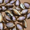 SHORELY YOURS COWRIES,Purple Top,stunning color,beach art,craft supply SS-37 - 100