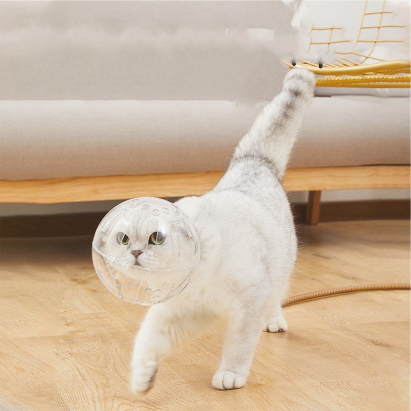 Cat Muzzle Transparent Breathable Prevent Biting Licking Lightweight Cat Hood