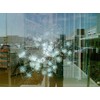 VViViD 12 Mil Clear Safety Anti-Shatter Film Window Protection Vinyl (1ft x 5ft)