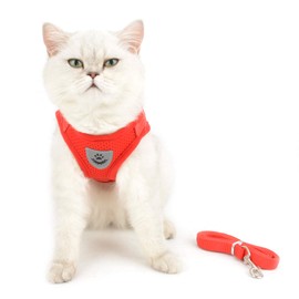 RANPHY Cat Harness Lead Set, Cute, For Both Dogs and Cats, Includes Reflective Tape, Stylish, Chest Attached, Complete Wearing Without Raising Your Legs Up, Tight, Lightweight, Breathable, Mesh, Easy
